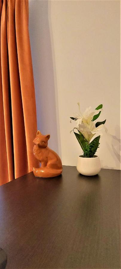 Apartament Hera Rîşnov Exteriér fotografie
